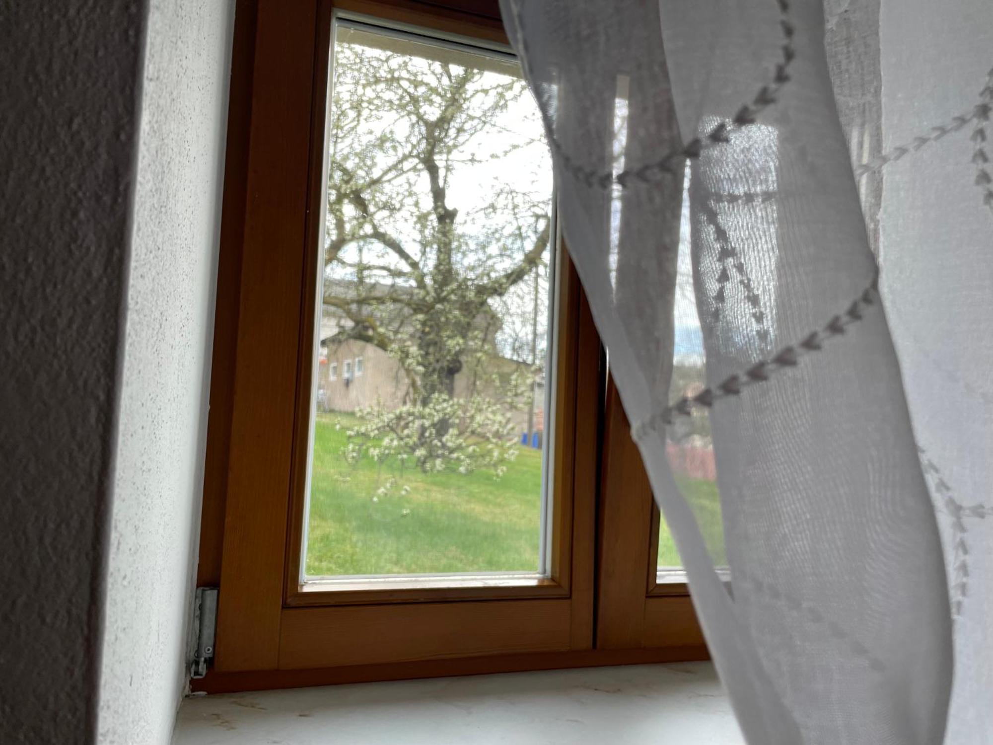 Energietanken Vor Den Toren Dresdens -Barrierefrei- Dippoldiswalde Dış mekan fotoğraf